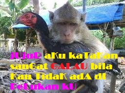 BOBODORAN SUNDA EUUYYYY