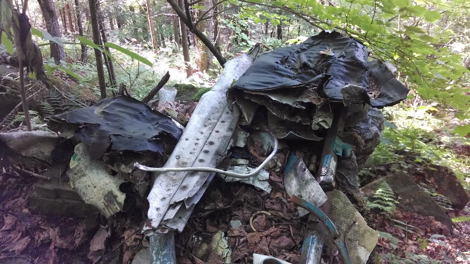 Off on Adventure Pilot Knob Mountain Lake Wild Forest 7/18/14