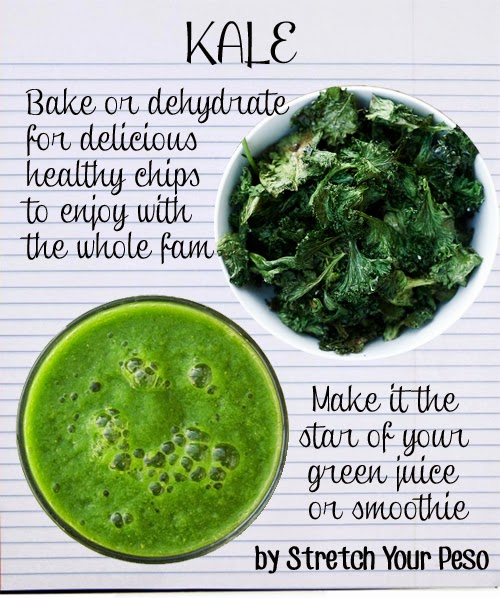 What is Kale? Superfood Vegetable Stretch Your Peso