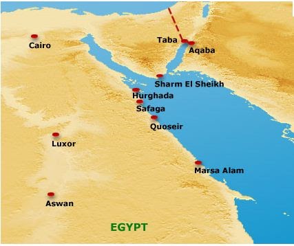 My Loyal Cat Will Follow Your Mouse