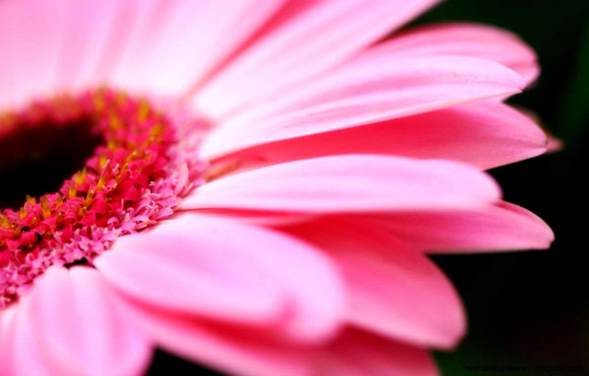 Girly HD Wallpapers Girly HD Wallpapers