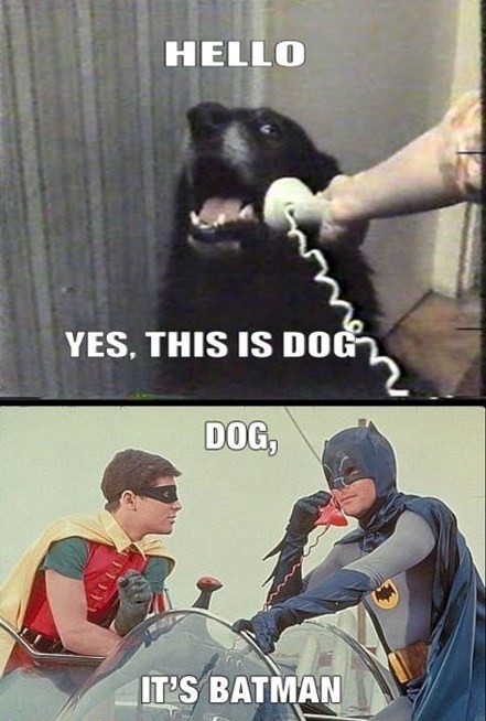 [Image: advice-animals-memes-hello-yes-this-dog-batman.jpg]