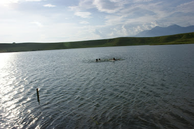 Danau Sentani