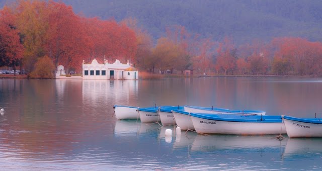 Des del Pla de l'Estany. Notes literàries