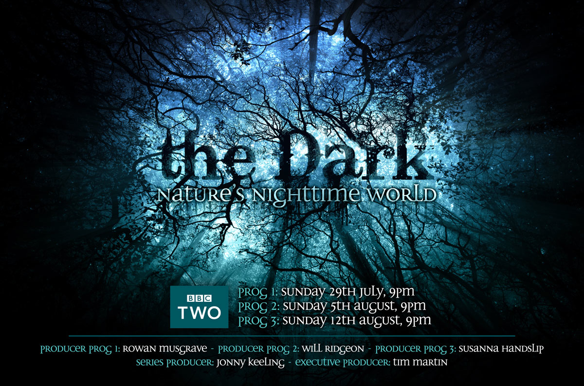 the dark and darker download the dark and darker download