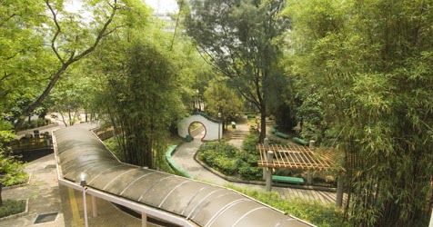 El bambú en el Jardín : Jardín y Terrazas