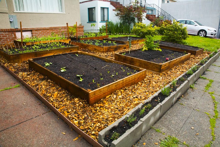 Cinder blocks and wood chips fill in the rest of the lawn. - He Started With Some Boxes, 60 Days Later, The Neighbors Could Not Believe What He Built Cinder blocks and wood chips fill in the rest of the lawn. - He Started With Some Boxes, 60 Days Later, The Neighbors Could Not Believe What He Built