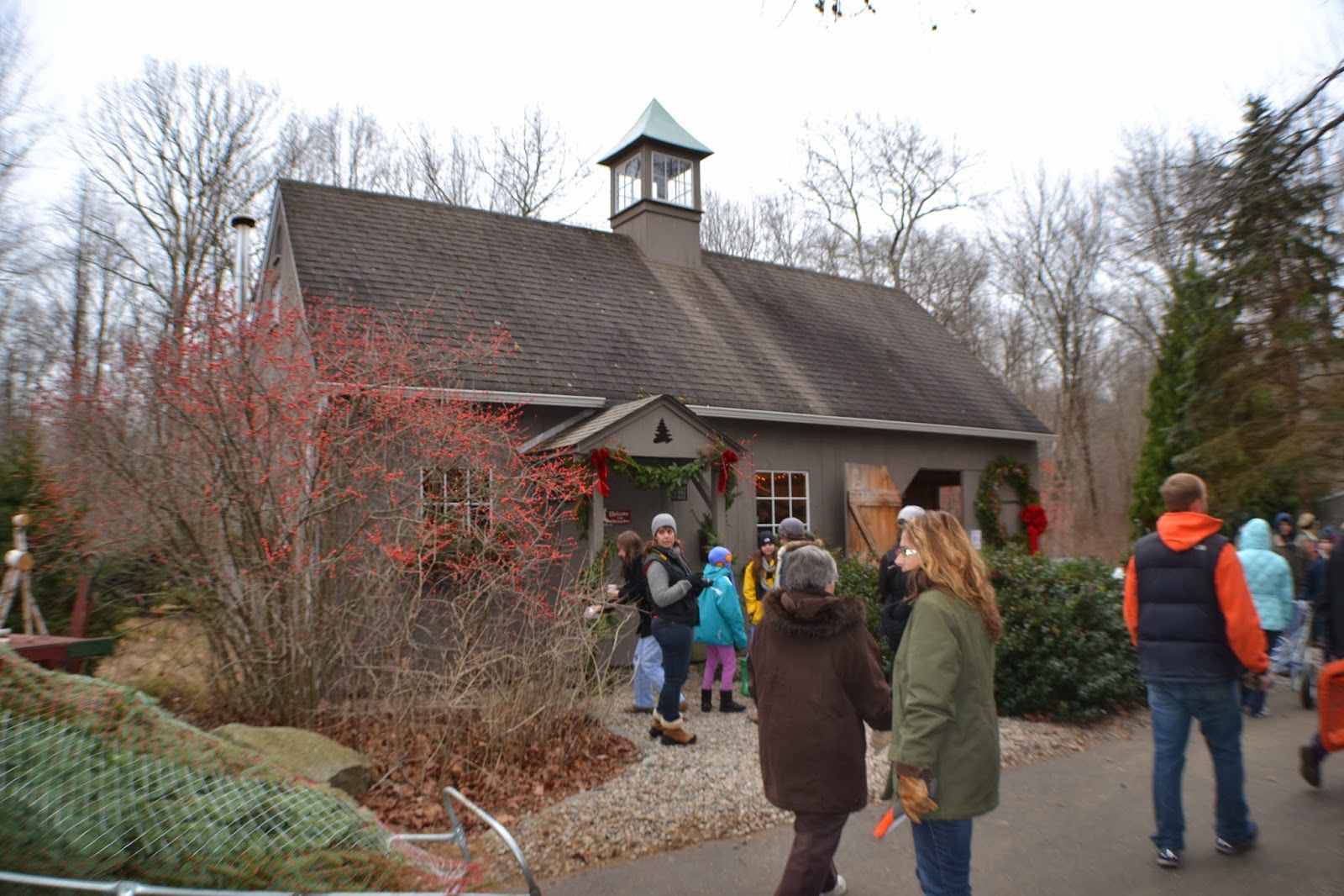 Focus On Killingworth, CT and Surrounding Towns Christmas At