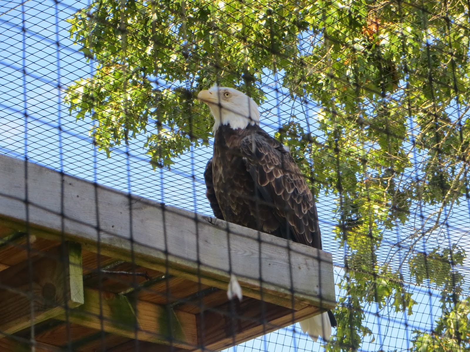 jillgoes New Jersey Cape May County Zoo