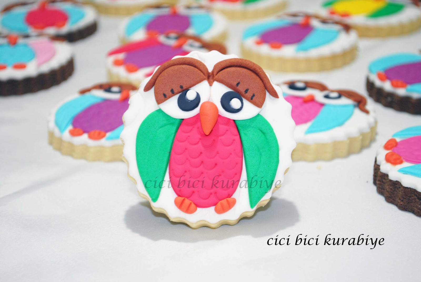 Cici Bici Kurabiye & Cupcake & Pasta İzmit Baykuş Kurabiyeler