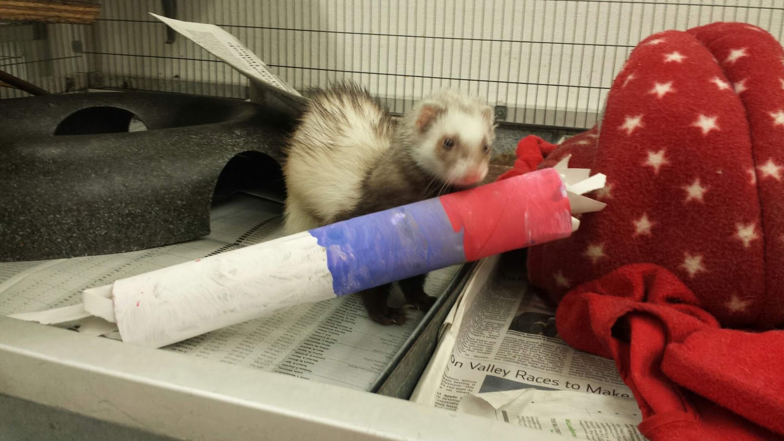 CC Afterschool Fun for the Zoo Engineering Enrichment and Enhancement.