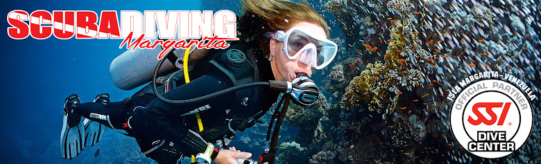 Buceo y snorkeling, excursiones Isla Margarita, curso de buceo, ocio, aventura
