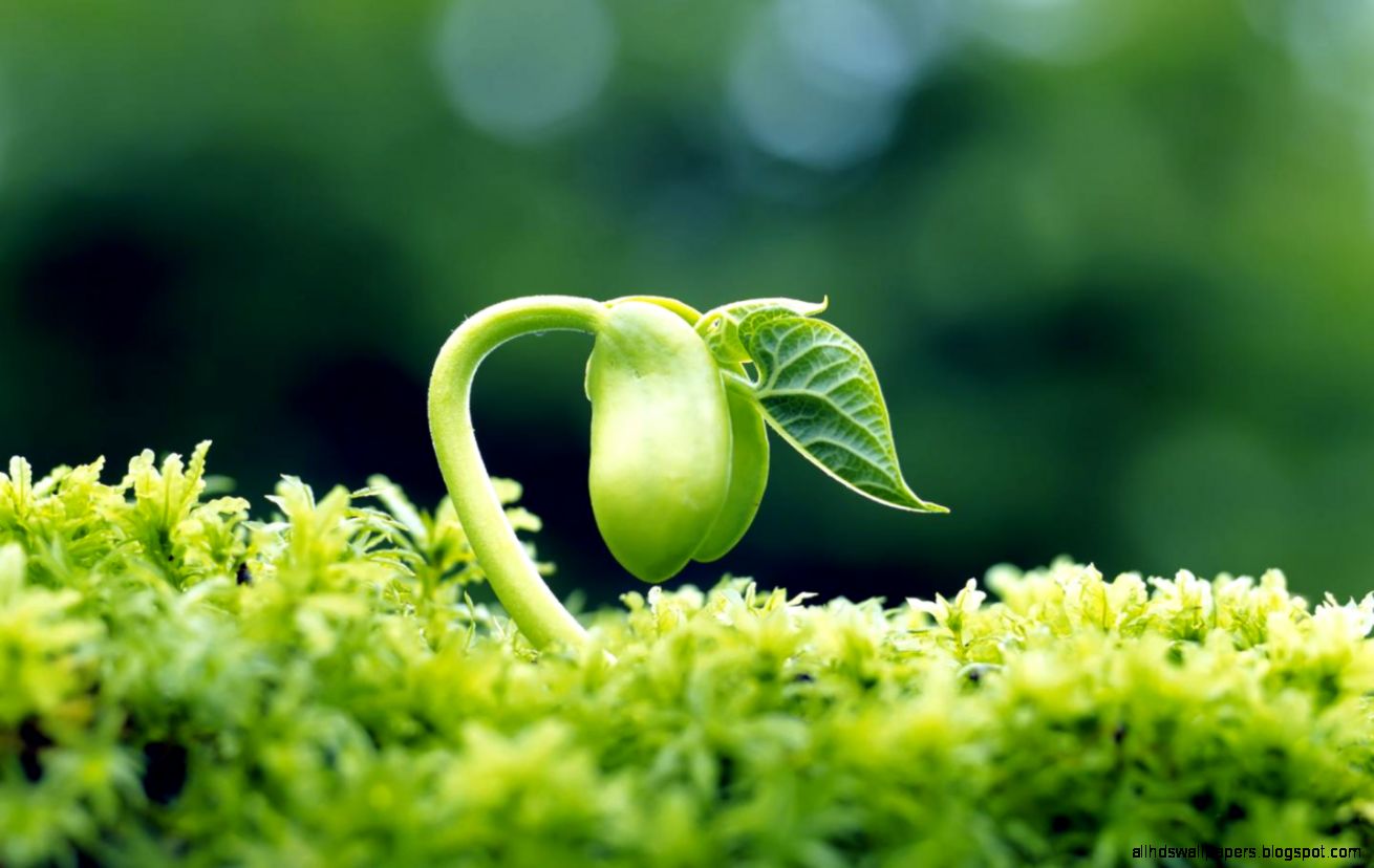 desktop background images hd