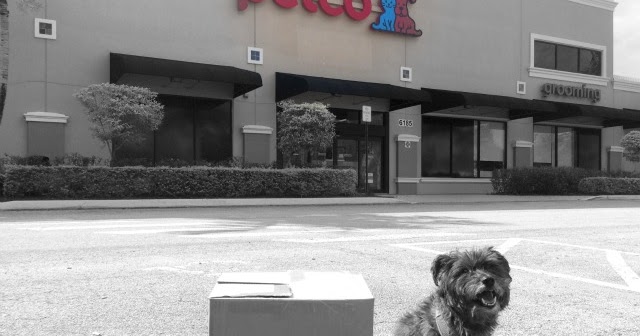 petco stella and chewy