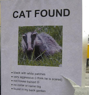 found cat is badger fail sign
