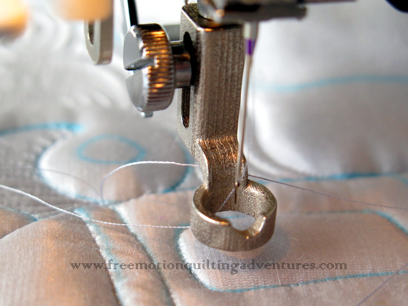 Amy's Free Motion Quilting Adventures: Review of the Westalee Ruler