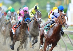 Preakness 2011 : Shackleford Remembered as a Winner