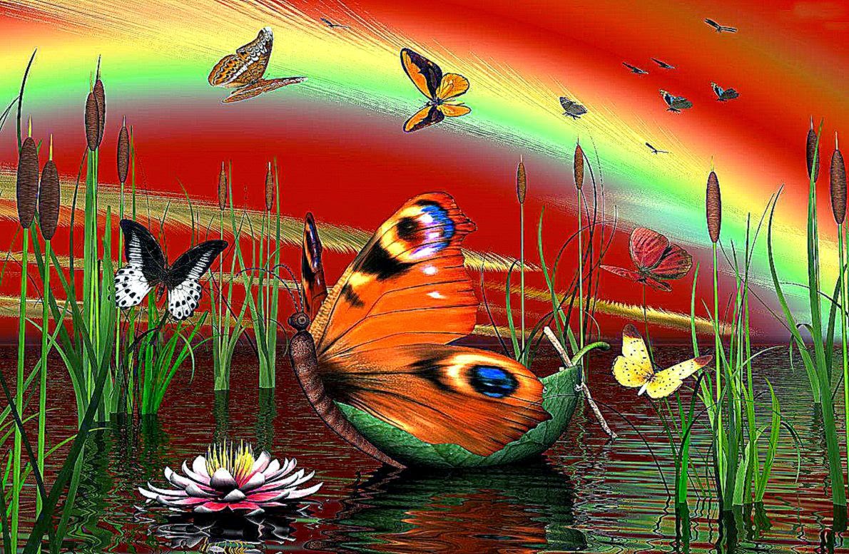 Desktop Wallpaper · Gallery · Windows 7 · Magic Creek   free Desktop Wallpaper · Gallery · Windows 7 · Magic Creek   free