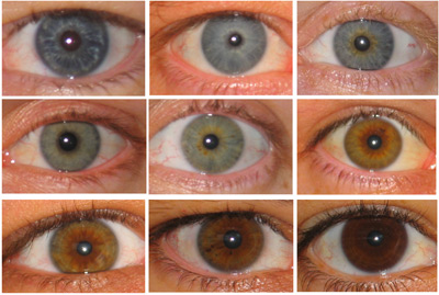 Blue Eye Colour Chart