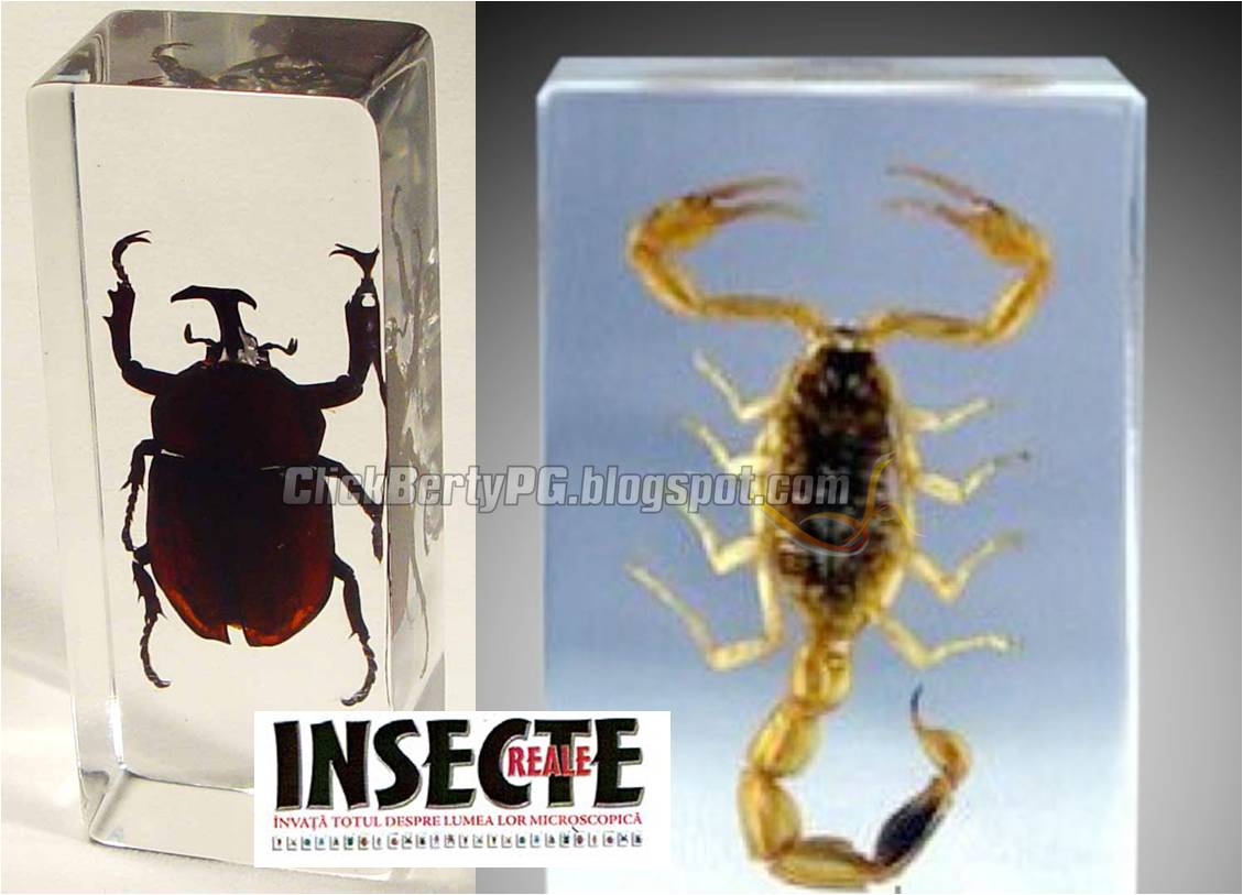 Deagostini,nu are o idee stralucita cu insectele Insecte+reale+2