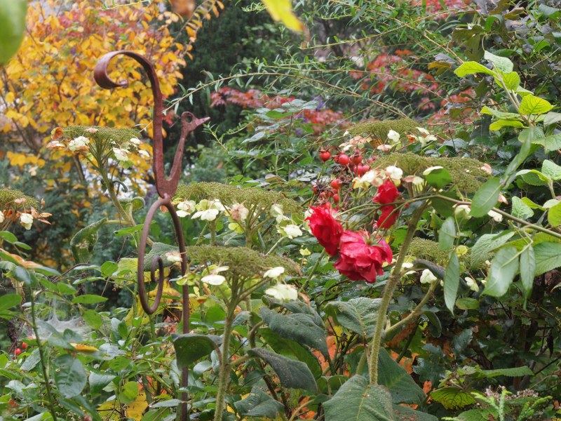 Mon Jardin Entre Terre Et Mer Yoraku Tama