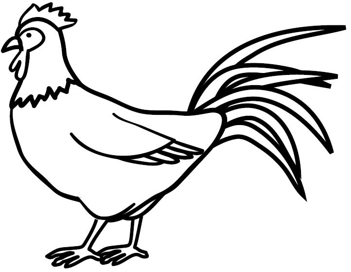 Dibujos de un gallo - Imagui