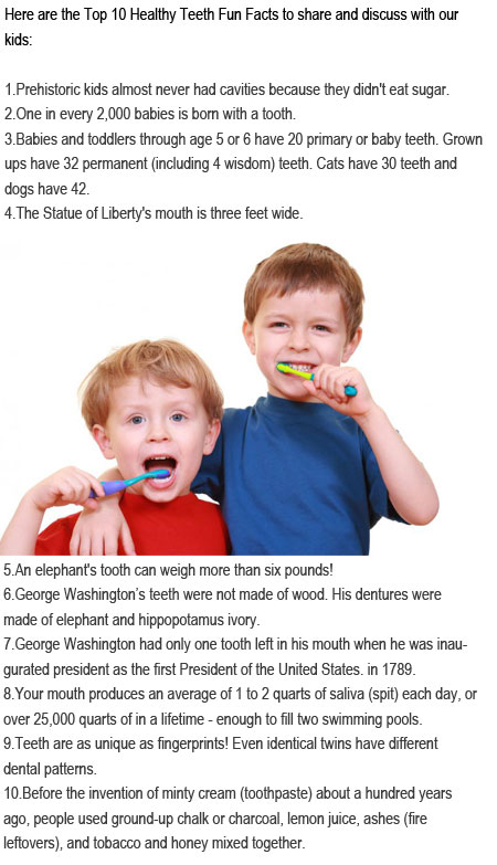 facts about teeth for kids