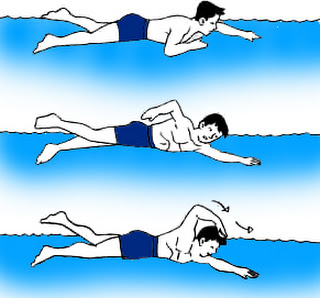 Dalam melakukan pengambilan pernapasan ketika berenang gaya bebas melalui