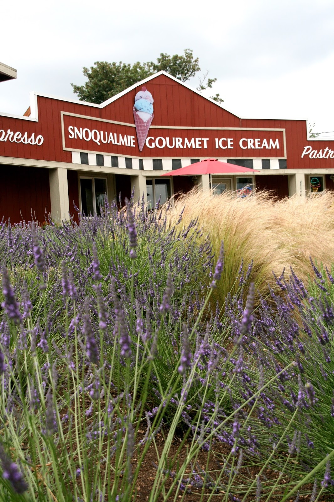 Finding the extraordinary in the ordinary Snoqualmie Ice Cream Farm in