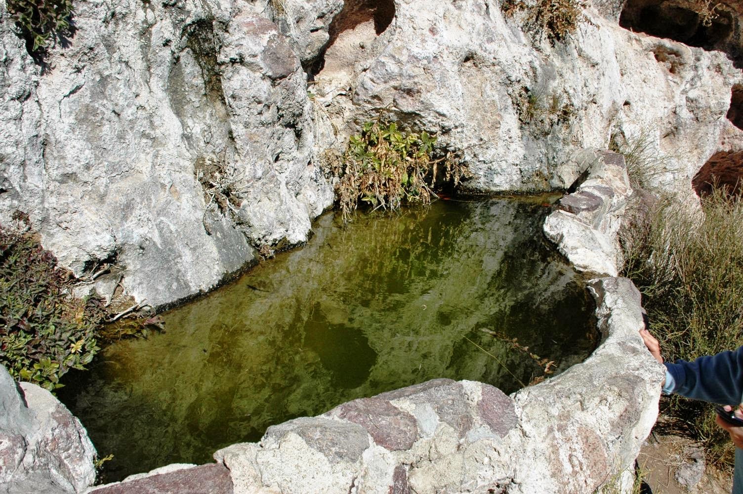 Patrick Tillett Desert Oddity Shaffer Fish Bowl Route 66