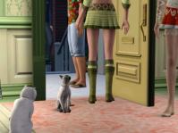 catstory2-13.jpg