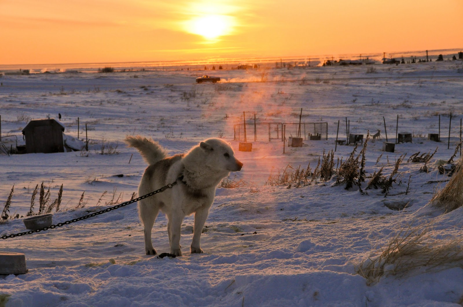 Sailor RN Holidays in Nome, AK