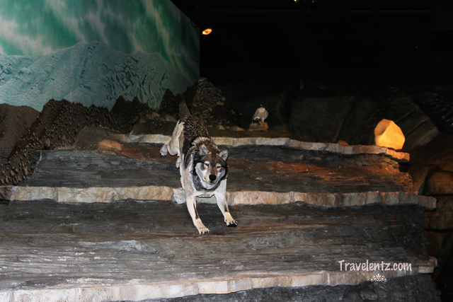 Side Trip At Cincinnati Museum Center Travelentz