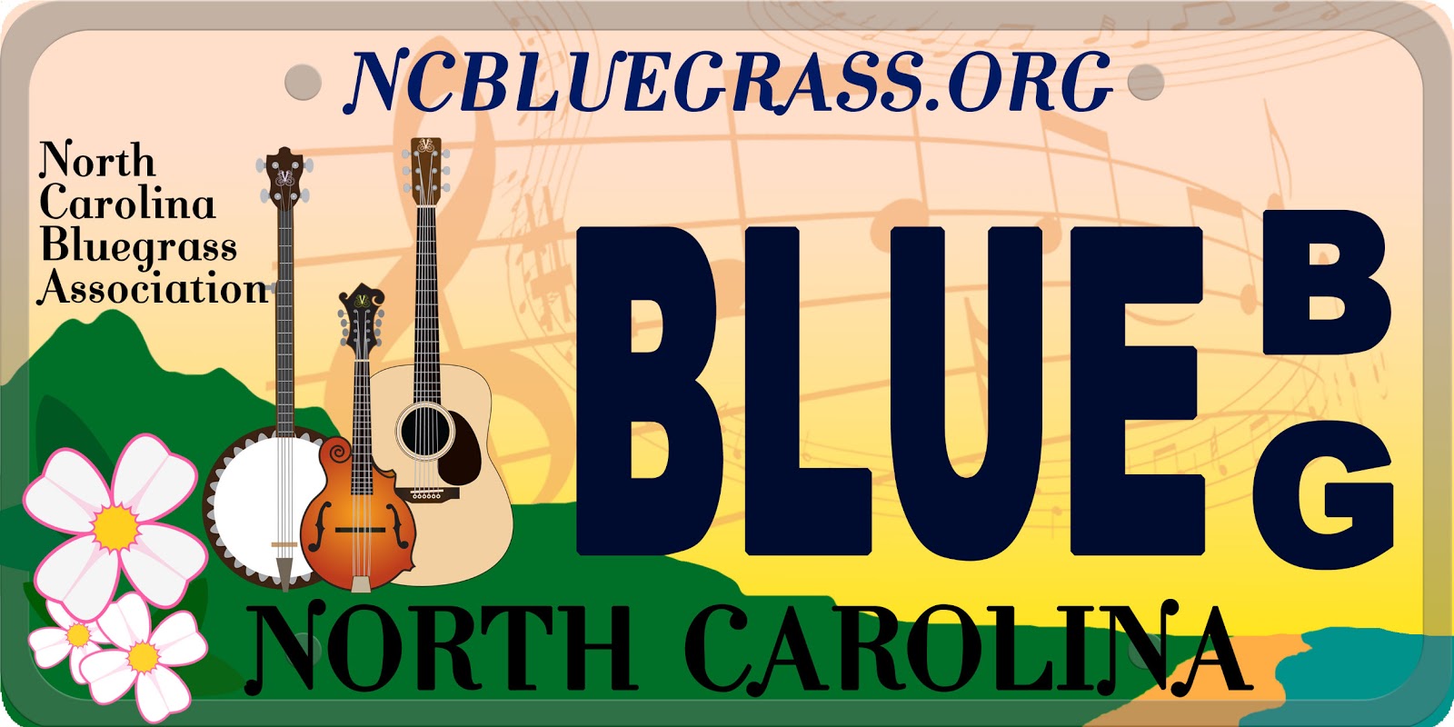 Vinciguerra Violin Studio News and Notes Bluegrass Music Specialty NC