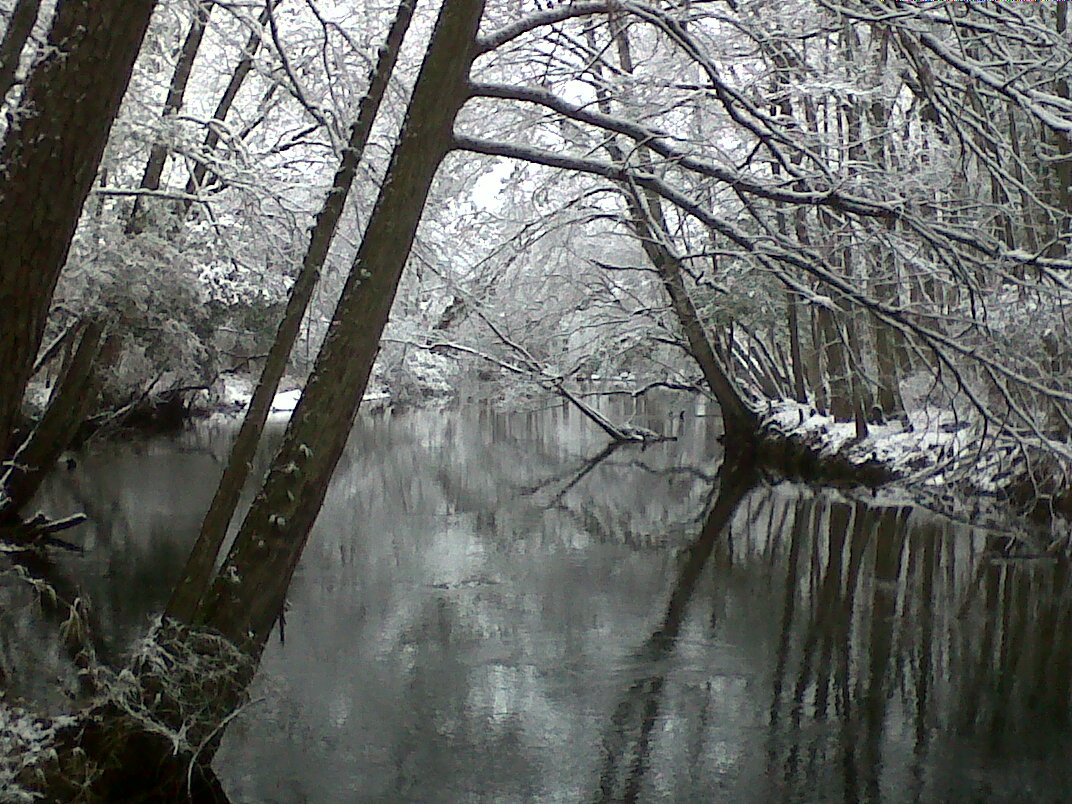 Lumber River State Park Chalk Banks New Fallen Snow