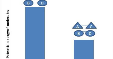Mike's Online Biology: MOB University: ANSWERS BIO 106 Unit 3 Cell