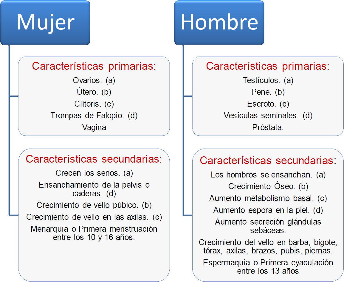 Características físicas primarias y secundarias.