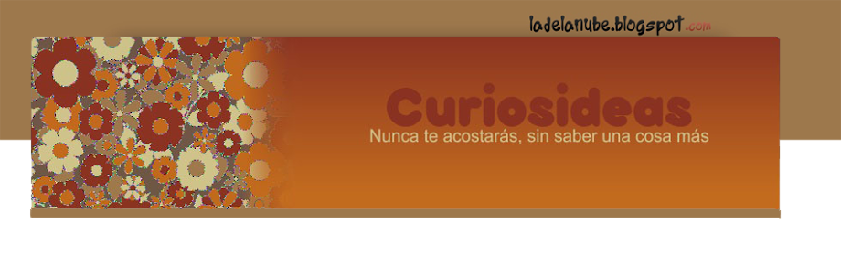 Curiosideas