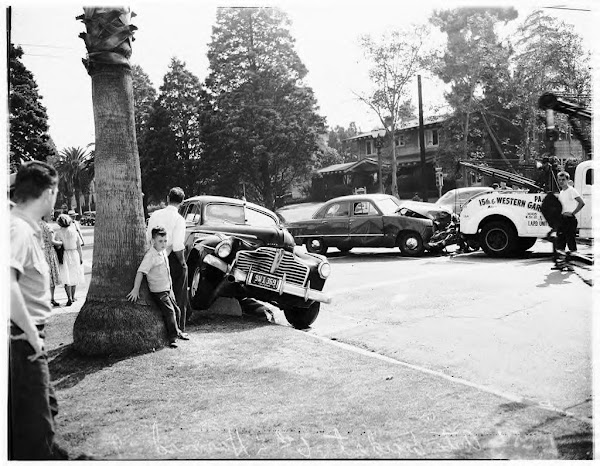 Thanks God the tree stopped him