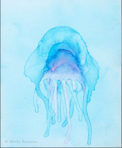 Jellyfish