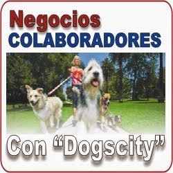 COLABORAN CON NOSOTROS