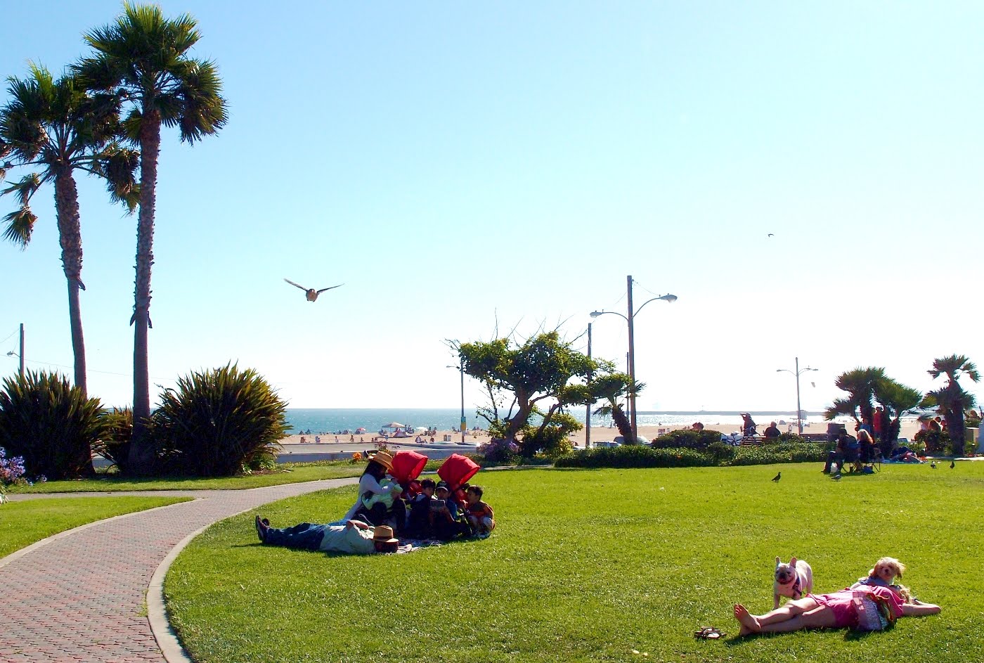 Seal Beach, CA : mot ngay mua he nong bong.