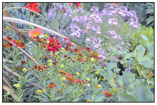 Scented Leaf A Walking Tour Through The Ted And Mary Greig
