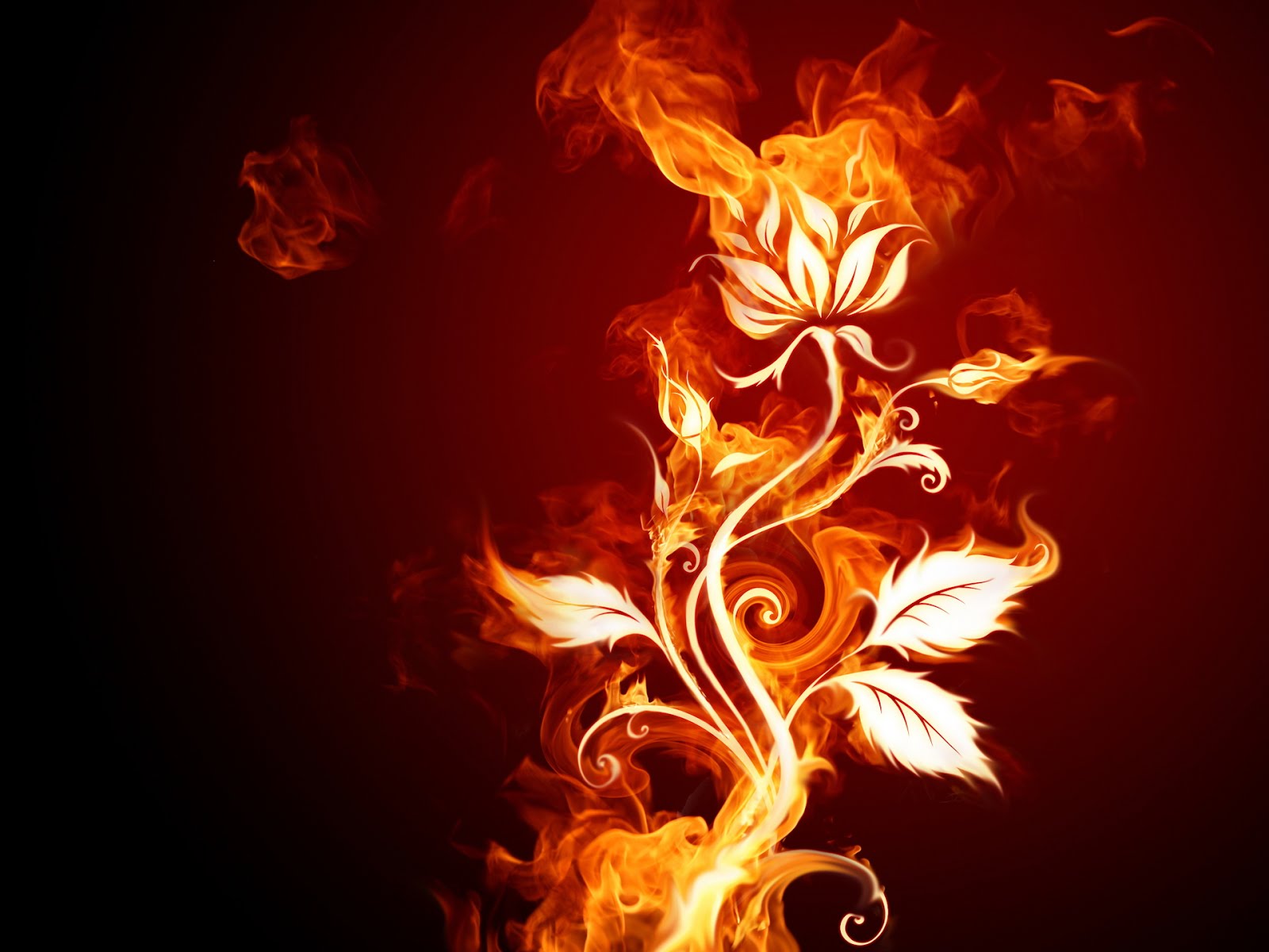 http://3.bp.blogspot.com/-tCstdebiP1g/UOH7NXaWIvI/AAAAAAAADSs/mO7eLamLgus/s1600/32.jpg
