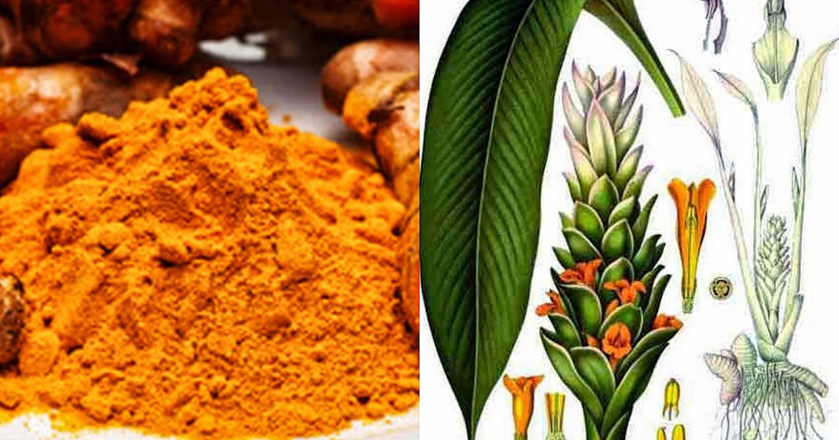 PHILIPPINE HERBAL PLANTS AND THEIR USES Luyang Dilaw