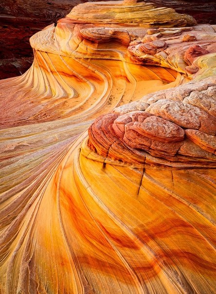 Пустыня Аризона