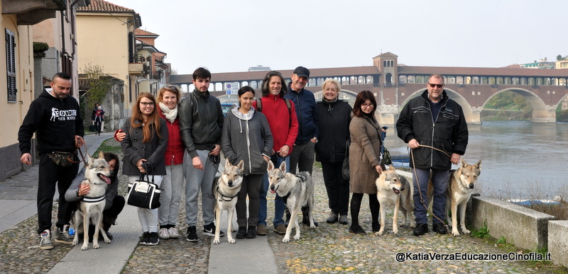 Tutti in posa...