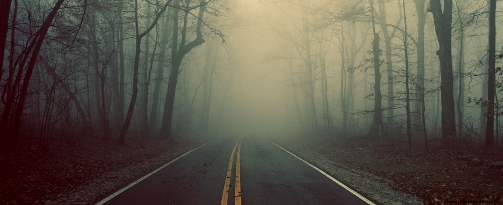 Foggy Road Download Foggy Road Courseimage Foggy Road Download Foggy Road Courseimage