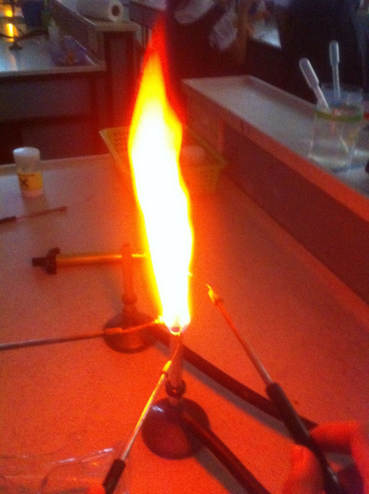 Crime Scene Investigation Chromatography and Flames