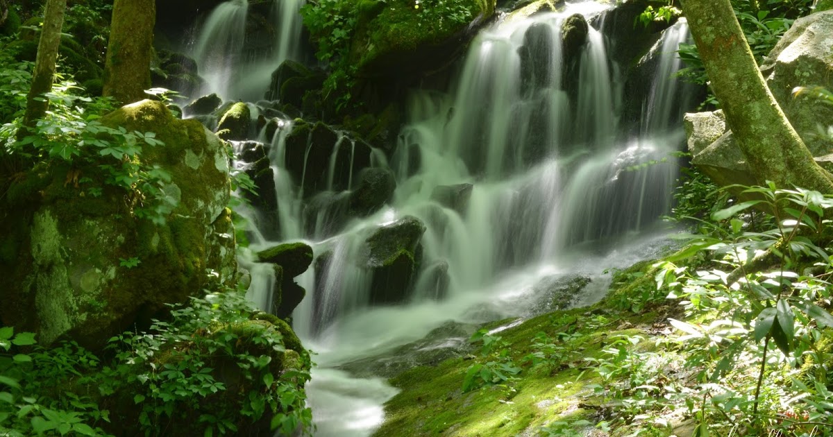 Carol Mattingly Photography Waterfall, Tremont Section, GSMNP